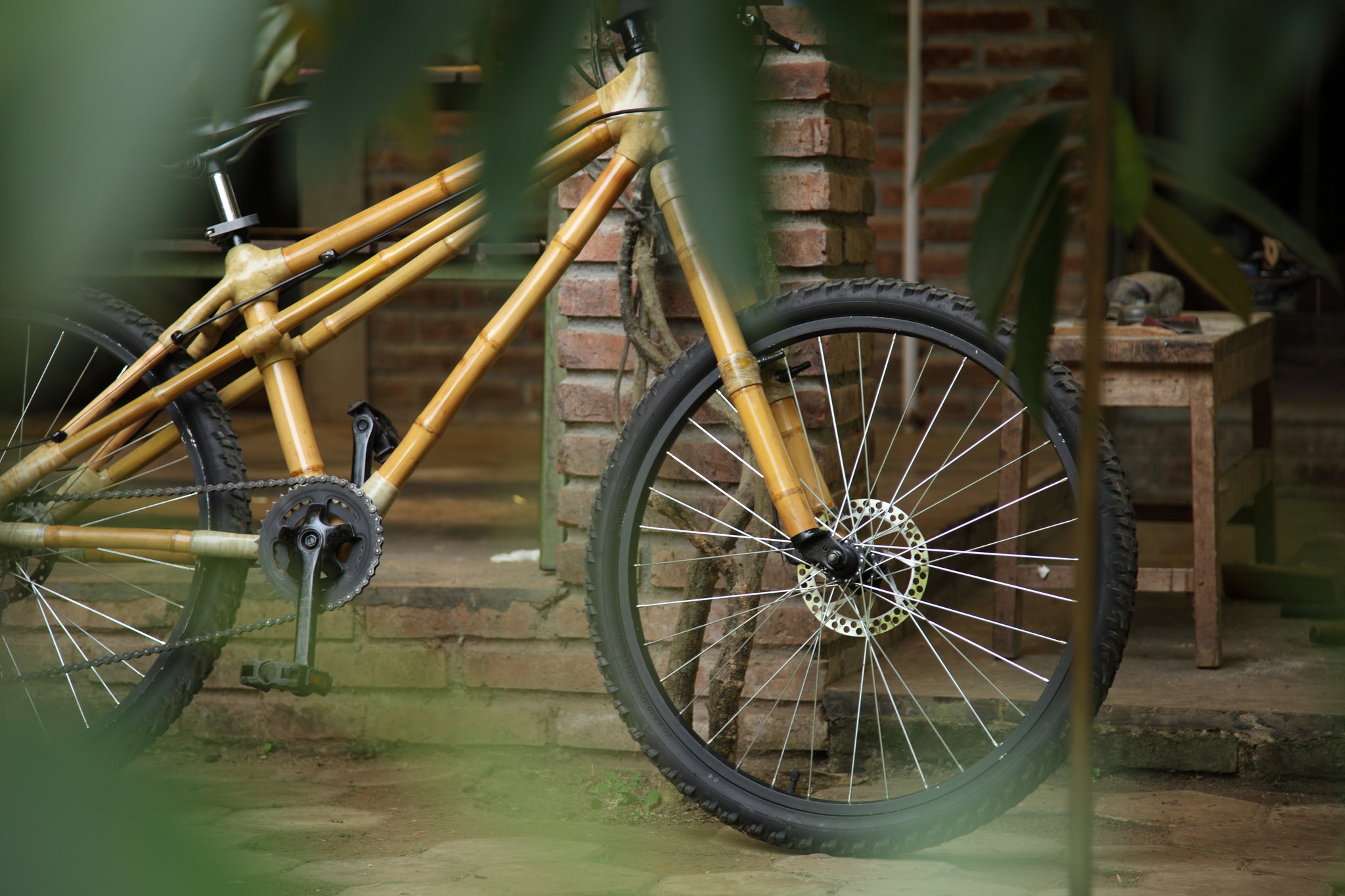 The Spedagi bamboo bicycle. 2 dunn